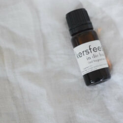 kersfees in die huis 11ml fragrance oil